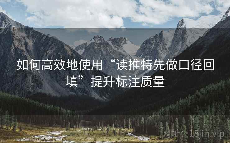 如何高效地使用“读推特先做口径回填”提升标注质量