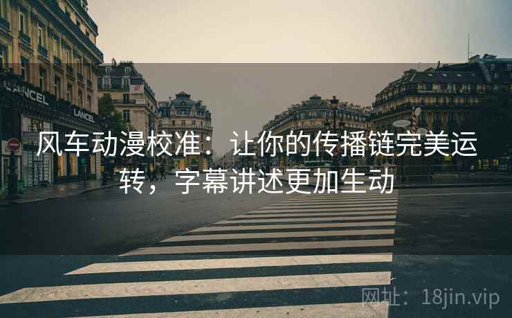 风车动漫校准：让你的传播链完美运转，字幕讲述更加生动
