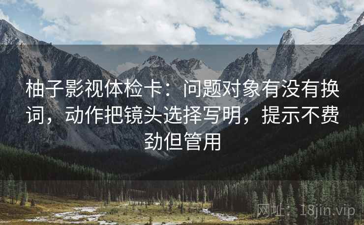 柚子影视体检卡：问题对象有没有换词，动作把镜头选择写明，提示不费劲但管用