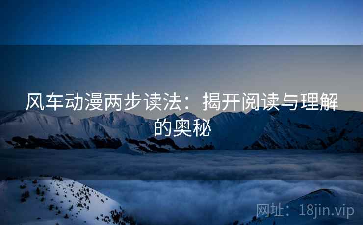 风车动漫两步读法：揭开阅读与理解的奥秘